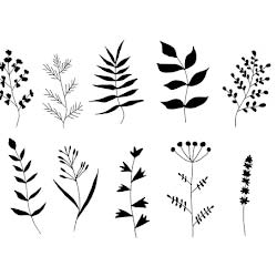 Cristian Brinck: A perfumer is an expert in creating perfume compositions, sometimes affectionately known as the Nose (French: le nez)