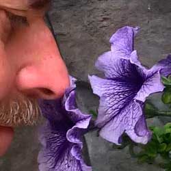 Cristian Brinck: A perfumer is an expert in creating perfume compositions, sometimes affectionately known as the Nose (French: le nez)